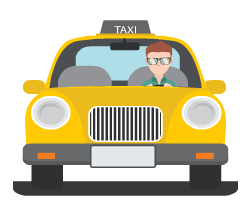 Professional Service